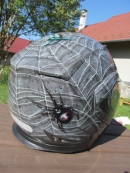 31507436_2031383413782486_5096181384800632832_o